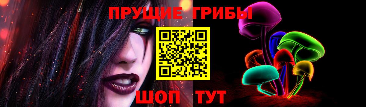 Усть-Джегута  где купить   Вход с VPN  Галлюциногенные грибы Cubensis 